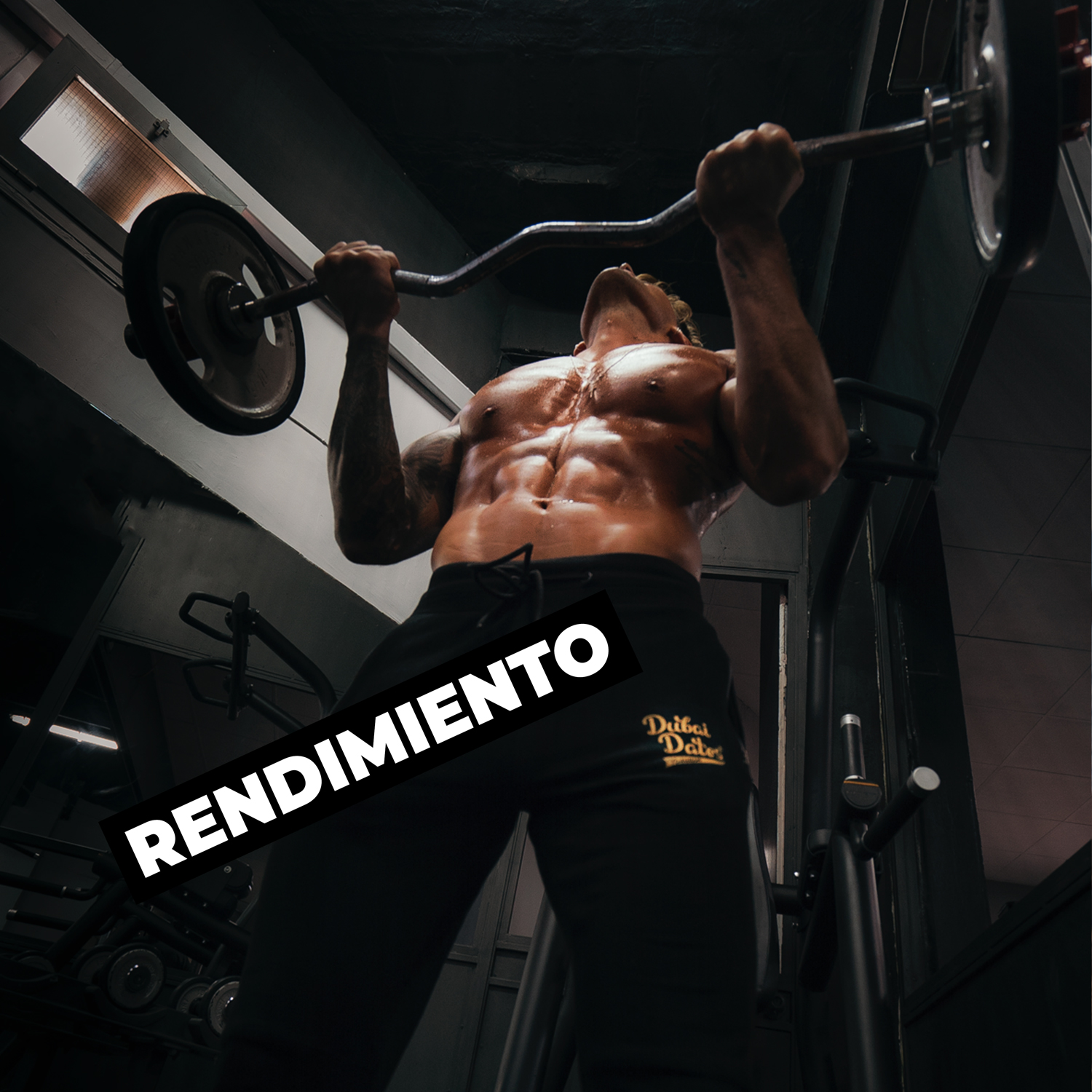 RENDIMIENTO